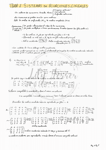 AL T1. Sistemas ecuaciones lineales.pdf