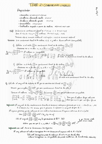 AL T2 Combinaciones lineales.pdf