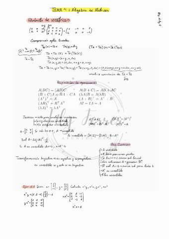 AL T4. Álgebra de matrices.pdf