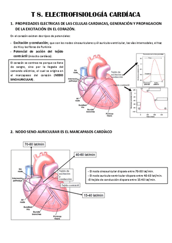 T8-ELECTROFISIOLOGIA-CARDIACA.pdf