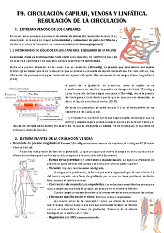 T9-CIRCULACION.pdf