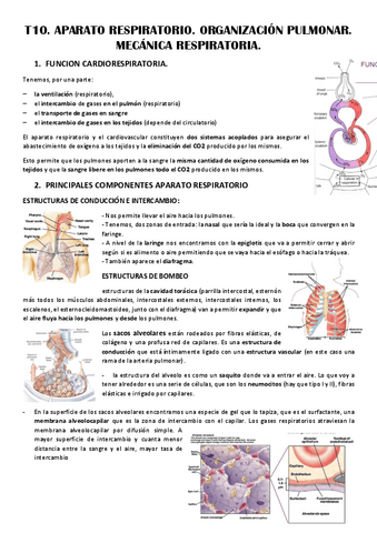 T10-APARATO-RESPIRATORIO.pdf