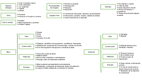 UT-5-ESQUEMA-LAS-MUESTRAS-BIOLOGICAS.pdf