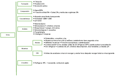 UT-7-ESQUEMA-MUESTRAS-DE-EXCRECIONES-Y-SECRECIONES.pdf