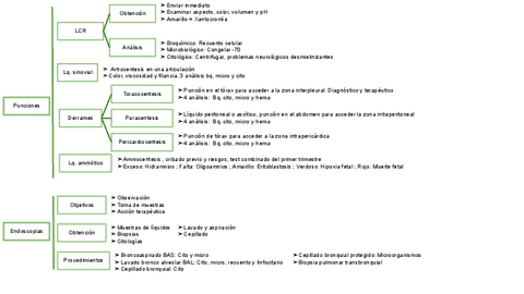 UT-9-ESQUEMA-PUNCIONES-Y-ENDOSCOPIAS.pdf