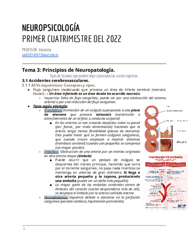 Tema-3-Principios-de-Neuropatologia.pdf