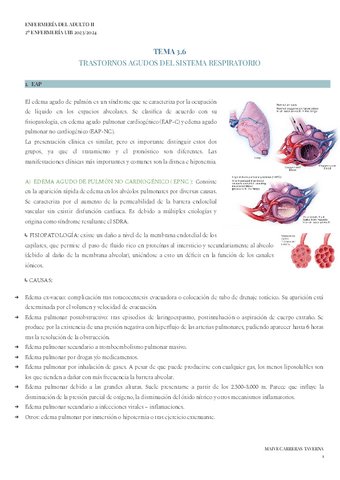 TEMA-3.6-ADULTO-II.pdf