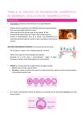 Tema-6-Salud-reproductiva.pdf