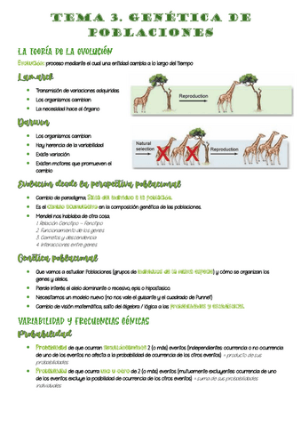3-genetica-poblaciones.pdf