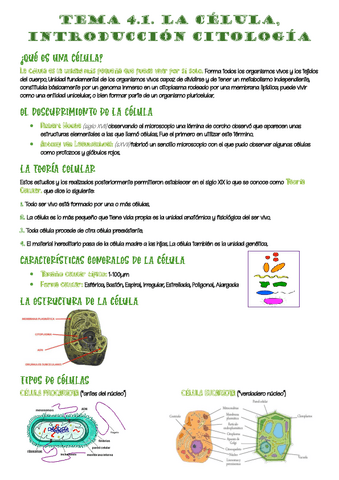 4-celula-citologia.pdf