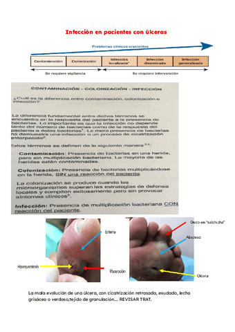 INFECCION-ULCERAS.pdf