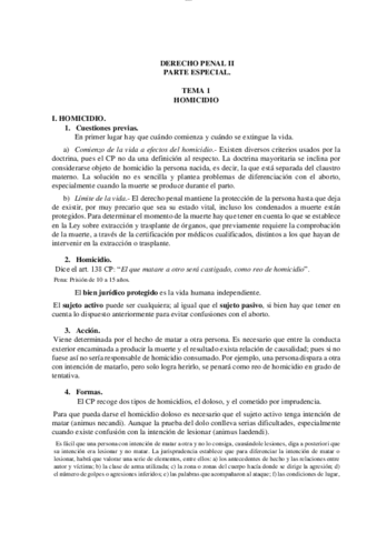 DERECHO PENAL II APUNTES DEFINITIVOS.pdf