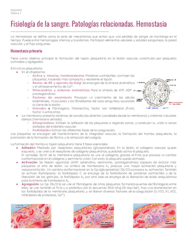 PAR1Tema-6.1-Hemostasia.pdf