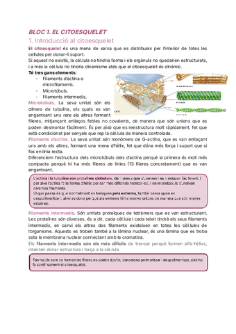 Apunts-biocel.pdf