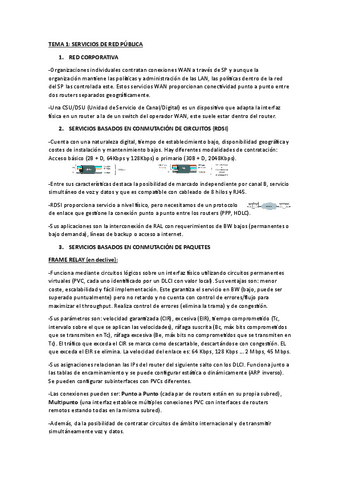 RESUMEN_T1_SERVICIOS_DE_RED_PUBLICA.pdf