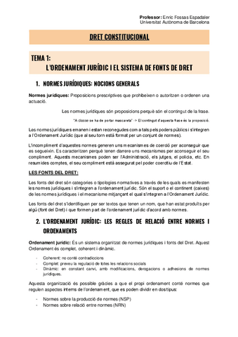 Dret-Constitucional-I-Apunts-complerts.pdf