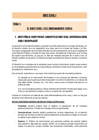 Derecho-Civil-I-Apuntes-completos.pdf