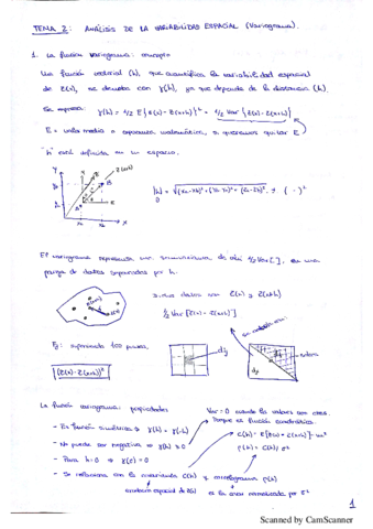 Geoestadística Tema 2.pdf