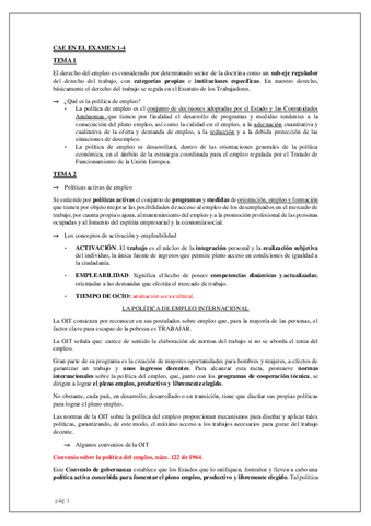 CAE-EN-EL-EXAMEN.pdf