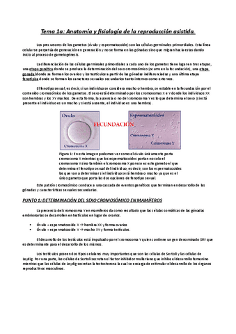 Tema-1-Reproduccion.pdf