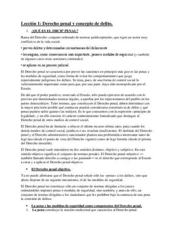 APUNTES-PENAL.pdf