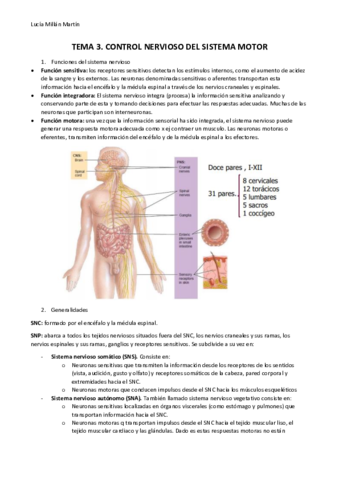 TEMA3.pdf