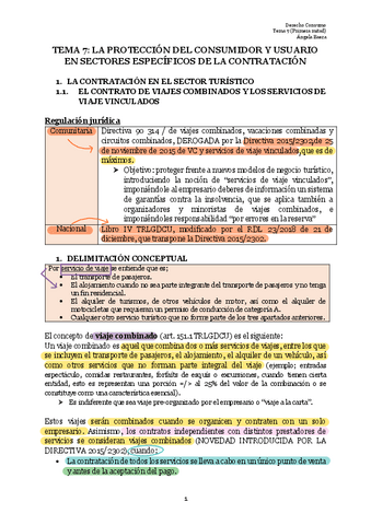 Resumen-T7.-CONSUMO.pdf