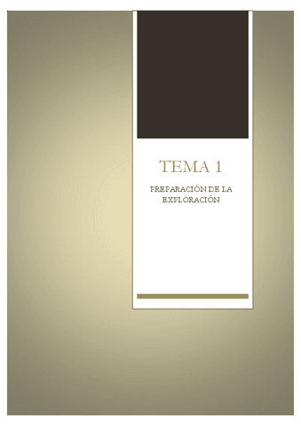 reso-tema-1.pdf