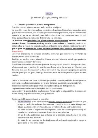 Tema-3-Derechos-Reales.pdf