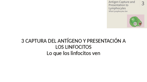 3-CAPTURA-DEL-ANTAGENO-Y-PRESENTACIAN-A-LOS-LINFOCITOS.pdf