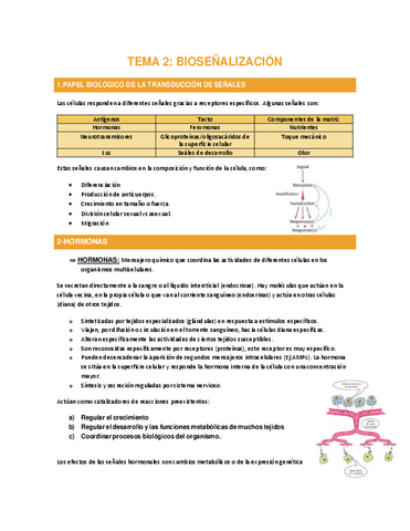TEMA-2-BIOSENALIZACION-comprimido.pdf