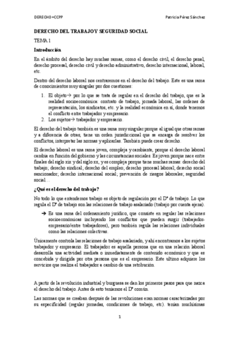 DERECHO-DEL-TRABAJO-Y-SEGURIDAD-SOCIAL.pdf