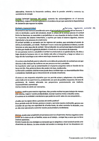 Cortisol.pdf