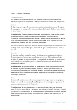 tema 13 tecno.pdf