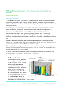 tema 14 tecno.pdf