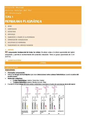 Tema-1.-Membrana-plasmatica..pdf