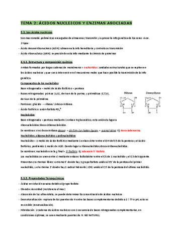 T.2-Biologia molecular y citogenética.pdf