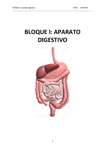 Bloque-I.-Aparato-digestivo.pdf