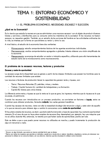 TEMA 1 (1.1 1.2 .13 1.4) - ENTORNO ECOMICO Y SOSTENIBILIDAD.pdf