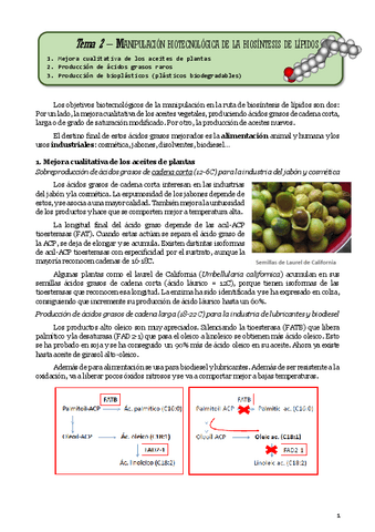 Tema2Tonomanipulacion-acidos-grasos.pdf