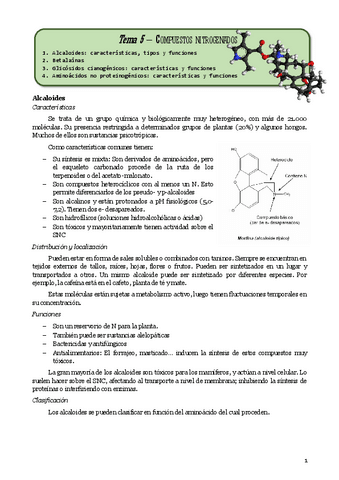 Tema5Tonocompuestos-nitrogenados.pdf