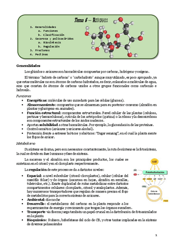 Tema6Penelopeazucares.pdf