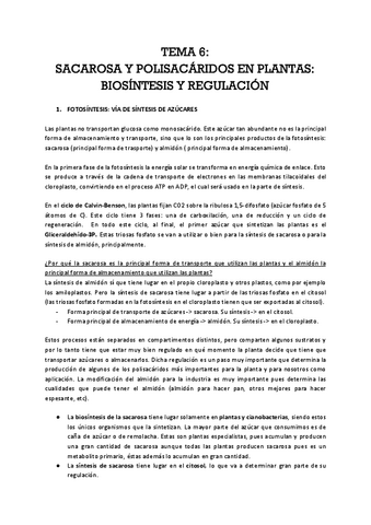 Tema6sacarosa-2020.docx.pdf