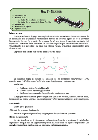 Tema7Penelopeterpenoides.pdf