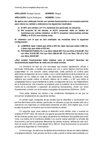 Practica-2SuanaNoriega.pdf