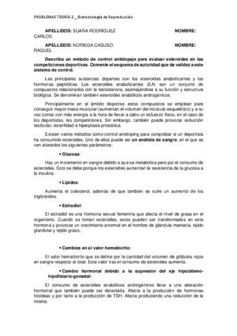 PROBLEMA2SuanaNoriega.pdf