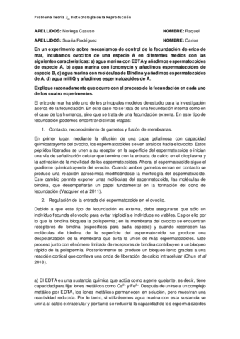 Problema3SuanaNoriega.pdf