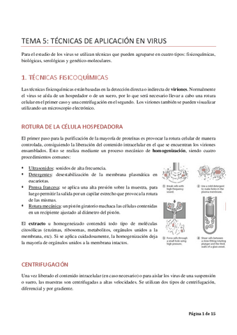 TEMA5tecnicas.pdf
