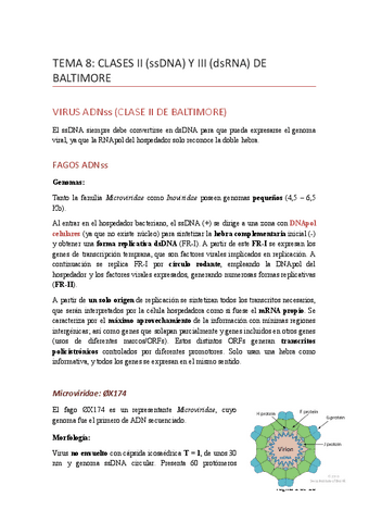 TEMA8claseII-III.pdf