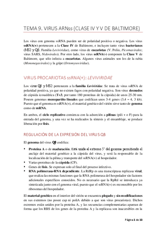 TEMA9claseIV-V.pdf
